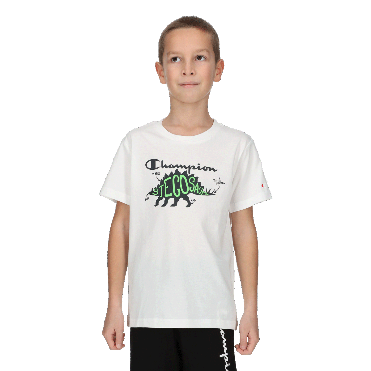 BOYS DINO T-SHIRT